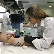 Clases particulares de Castellano, Biología, Inglés, Matemáticas, Química y Valenciano a Infantil, Primaria, ESO y Bachiller